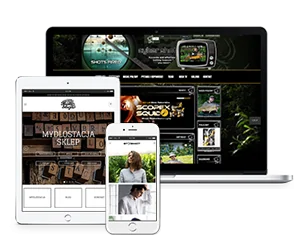 Projektowanie stron WWW Rybnik