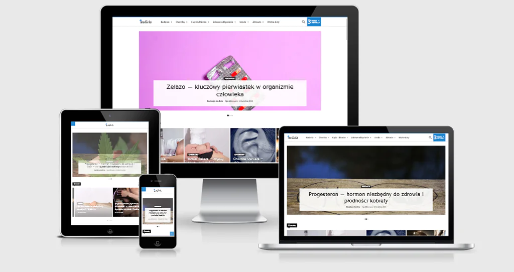 Projektowanie Stron internetowych - Portale internetowe